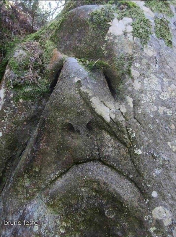 FANTAISIE NATURE ET DRIADES