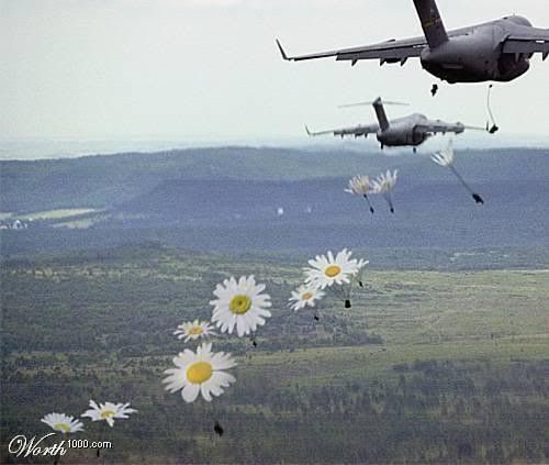 FLEURS