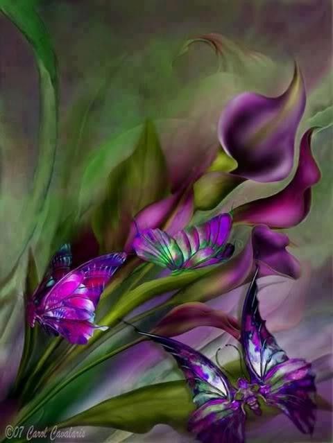 PAPILLONS