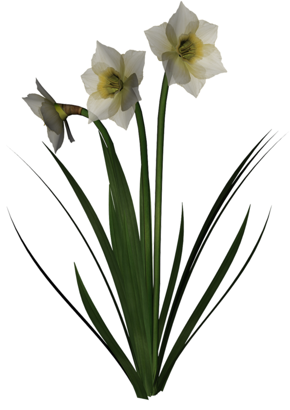c537c068.png