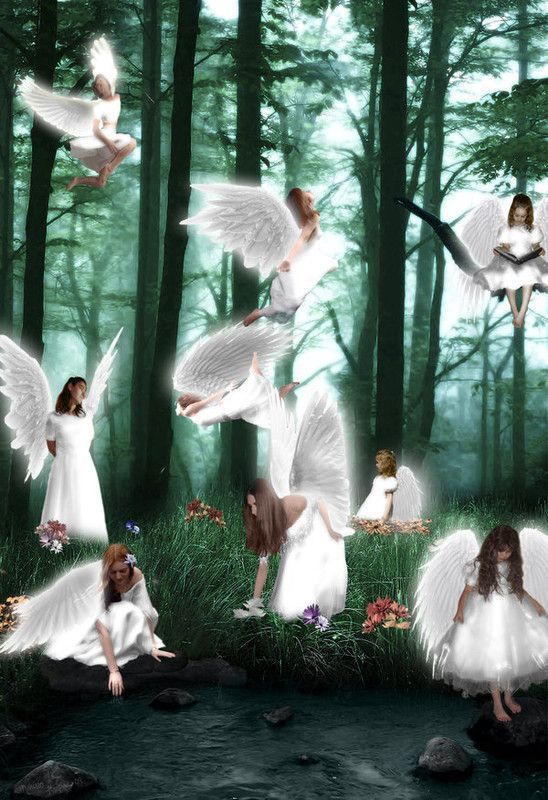 ANGES